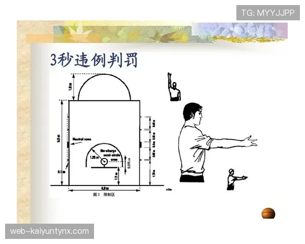 篮球规则深度解析：圆柱体原则的定义与适用范围